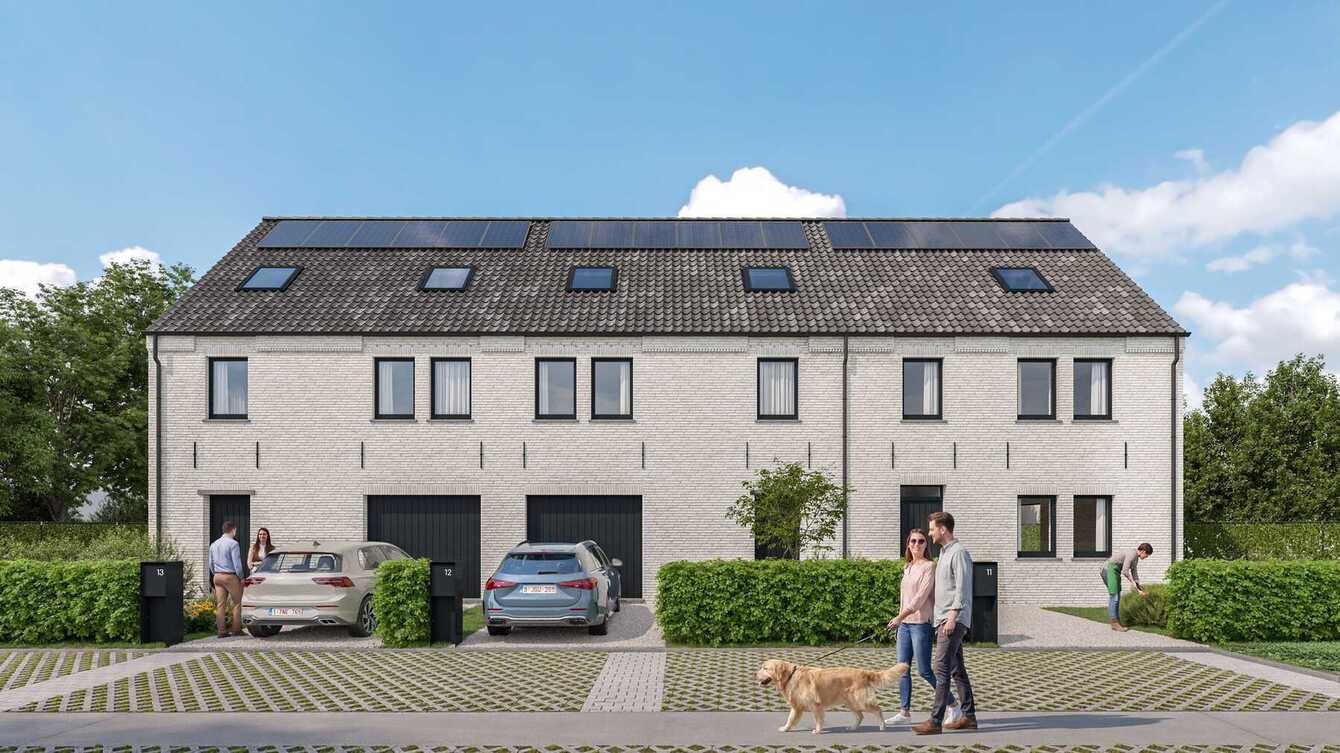 Hertsberge - Muntestraat